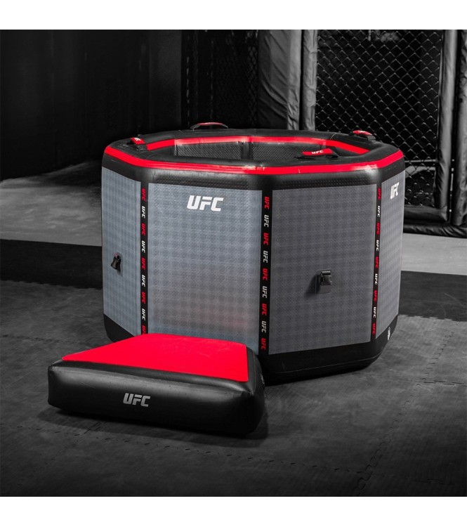 UFC Octagon