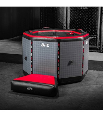 UFC Octagon