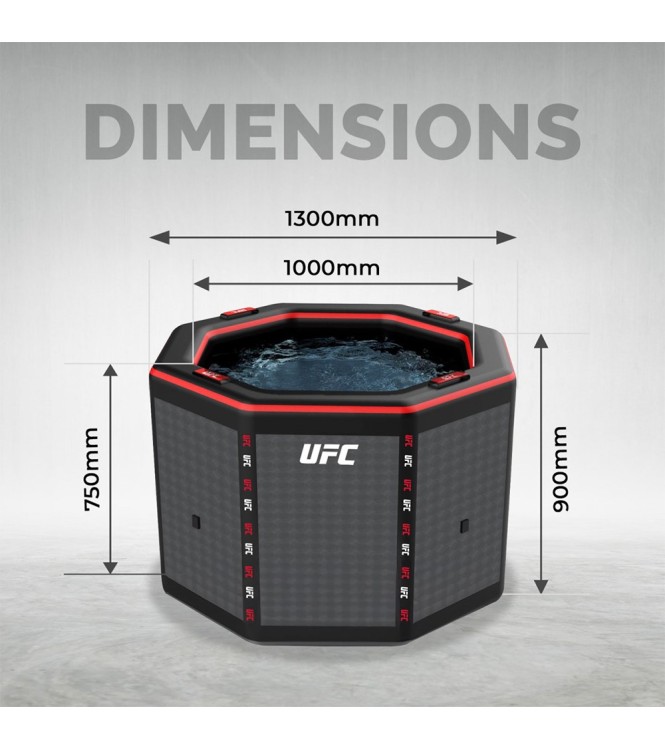 UFC Octagon