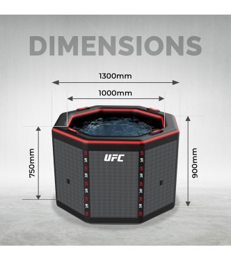 UFC Octagon