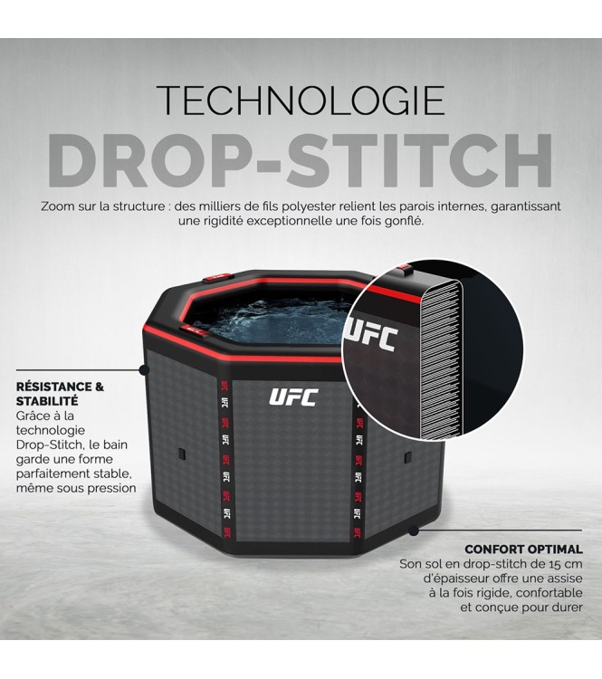 UFC Octagon