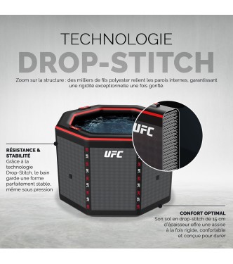 UFC Octagon