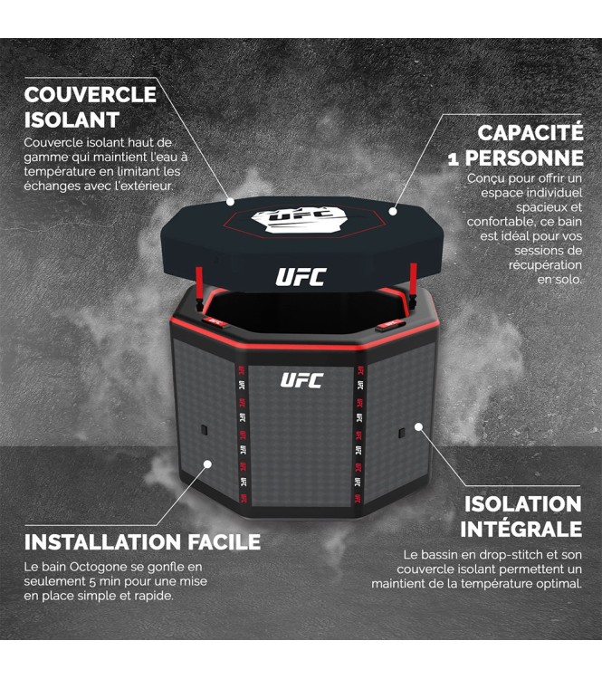 UFC Octagon