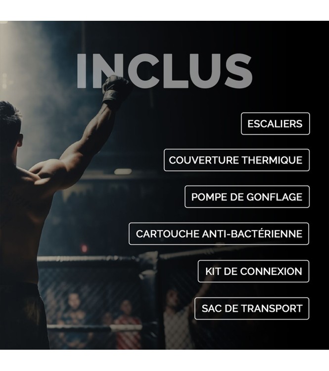 UFC Octagon