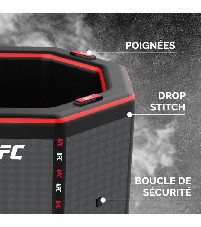 UFC Octagon