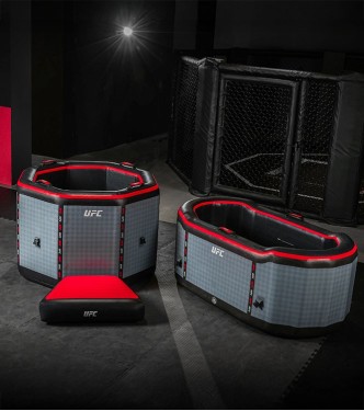 UFC Octagon