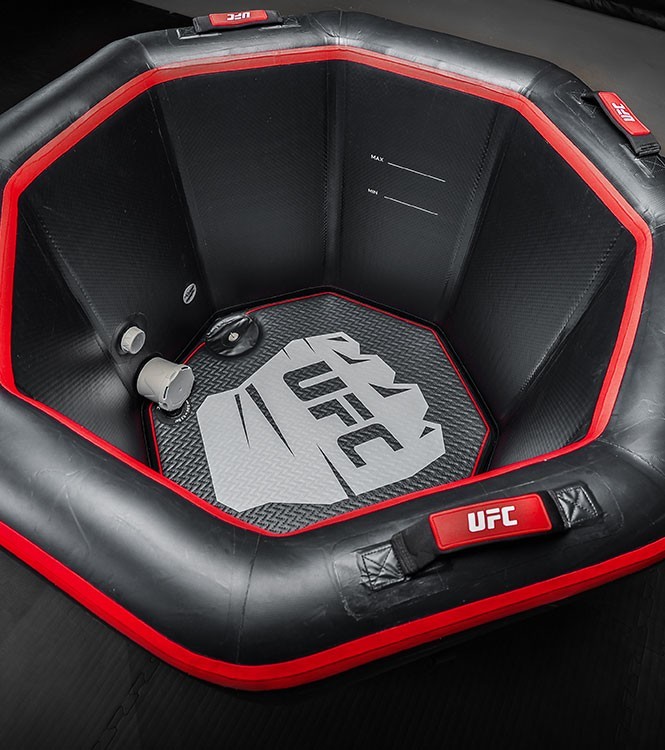 UFC Octagon