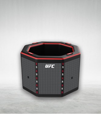 UFC Octagon