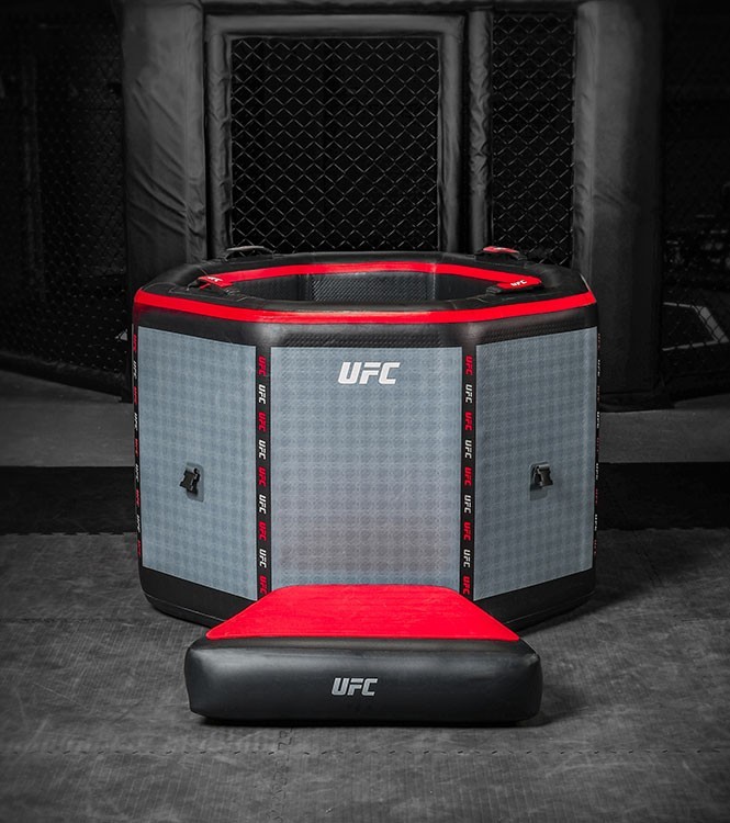 UFC Octagon